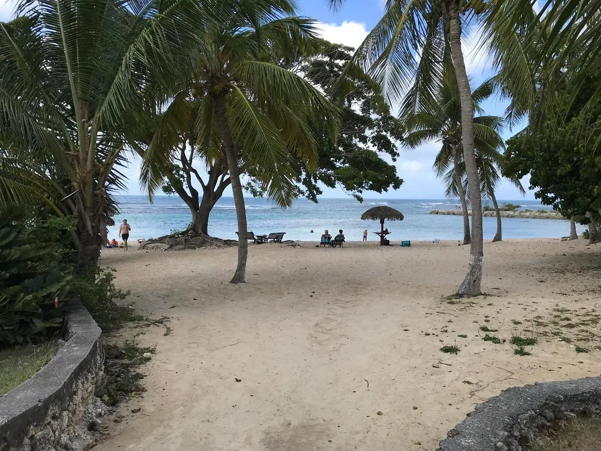 Frangipanier Mer Et Piscine Saint-Francois
